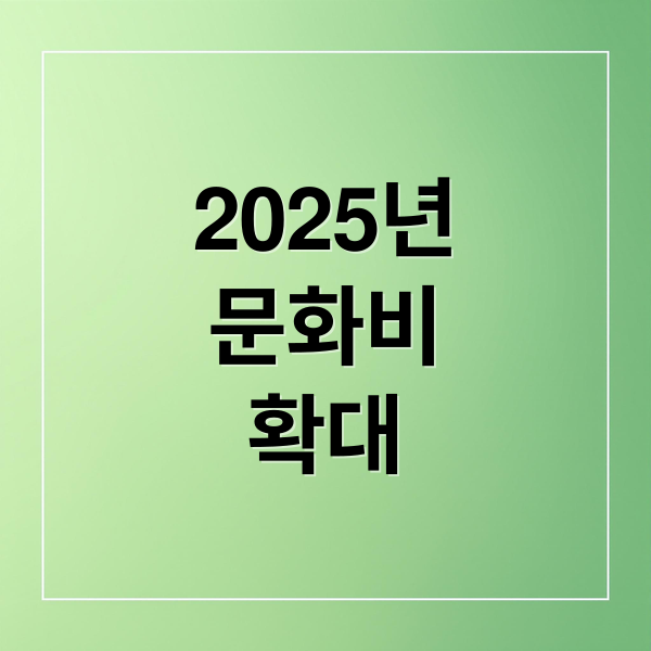 2025년
문화비
확대 (문화비 소득공제 바우처)