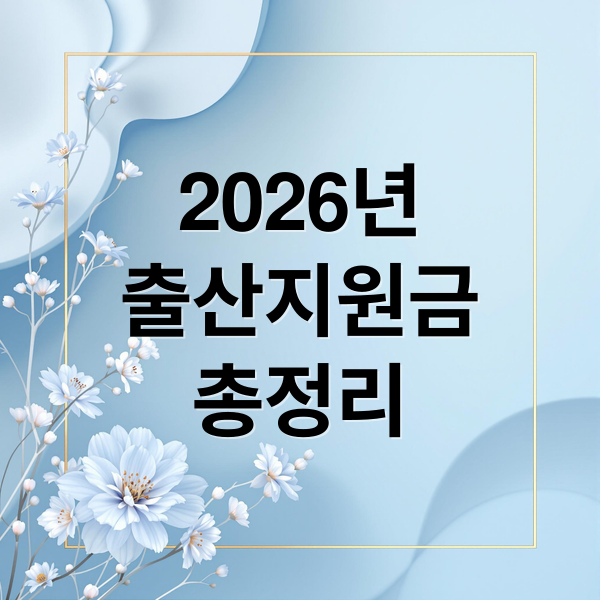 2026년
출산지원금
총정리 (출산 지원금 출산혜택 신청방법)