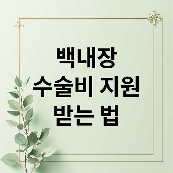 백내장
수술비 지원
받는 법 (백내장 수술비 지원 조건)