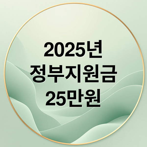 2025년
정부지원금
25만원 (정부지원금 25만원 지급)