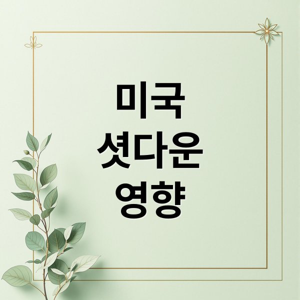 미국
셧다운
영향 (미국 셧다운 뜻)