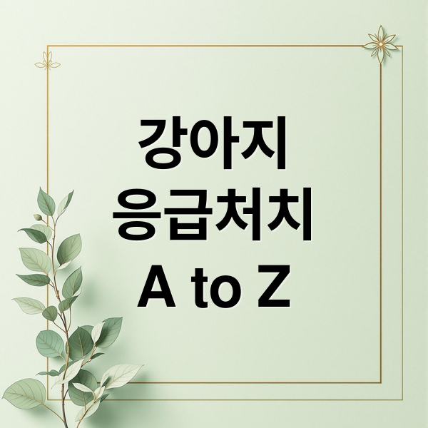 강아지
응급처치
A to Z (강아지 응급 처치)