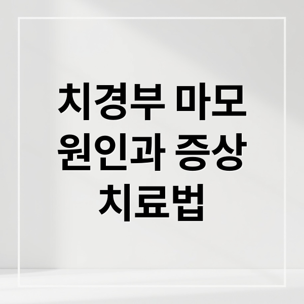 치경부 마모
원인과 증상
치료법 (이빨과잇몸사이패임)