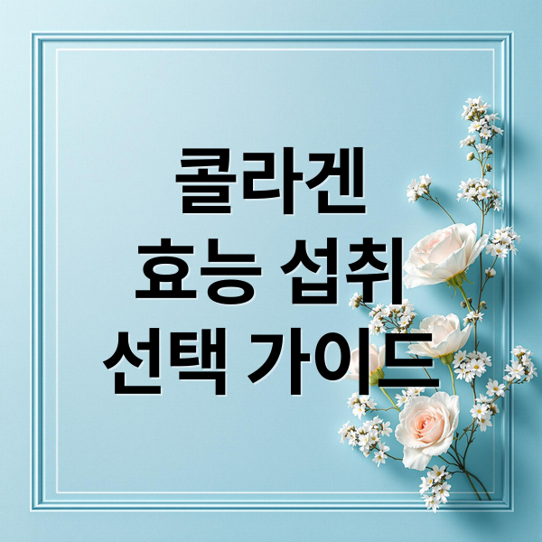 콜라겐
효능 섭취
선택 가이드 (콜라겐 섭취 방법)
