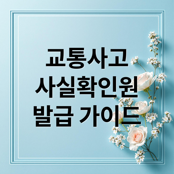교통사고
사실확인원
발급 가이드 (교통사고 사실확인원)