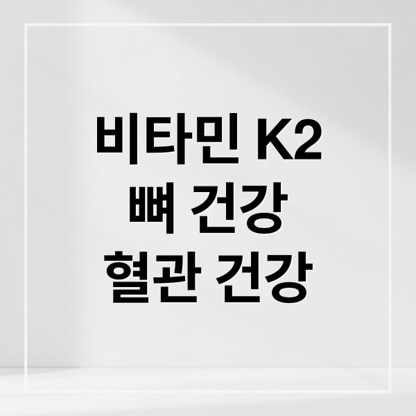 비타민 K2
뼈 건강
혈관 건강 (비타민 K2 효능)