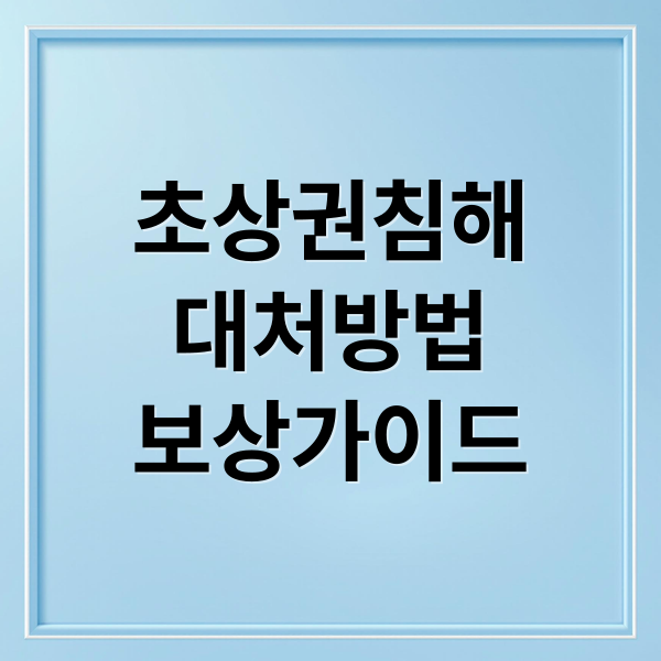 초상권침해
대처방법
보상가이드 (초상권 침해 사진 도용)