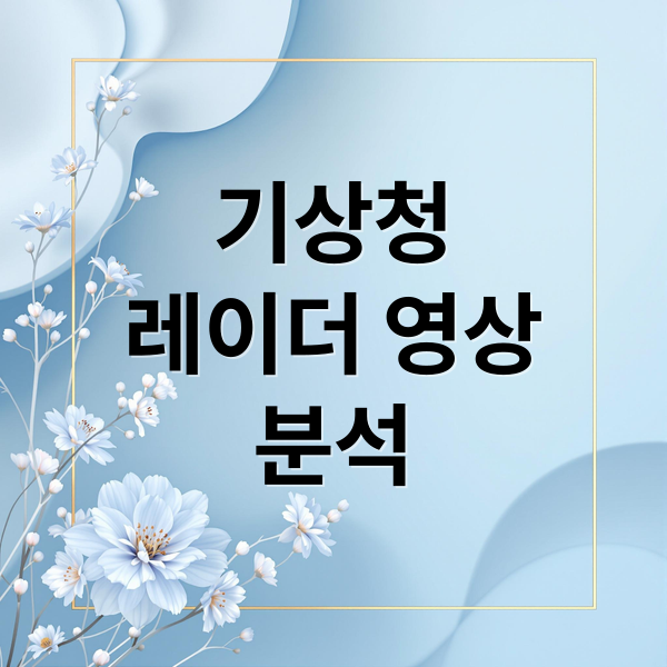기상청
레이더 영상
분석 (기상청 레이더 영상)