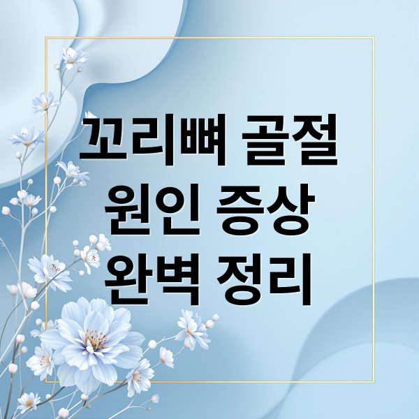 꼬리뼈 골절
원인 증상
완벽 정리 (꼬리뼈 골절 증상 대처법 치료법)