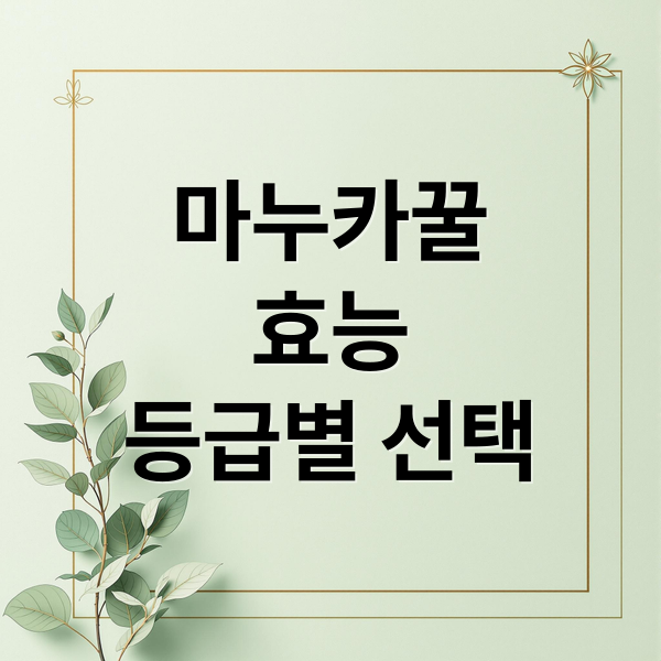 마누카꿀
효능
등급별 선택 (염증 잡는 꿀?! 마누카꿀의 놀라운 효과)