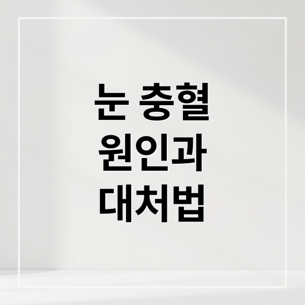 눈 충혈
원인과
대처법 (눈 충혈 원인 대처법)