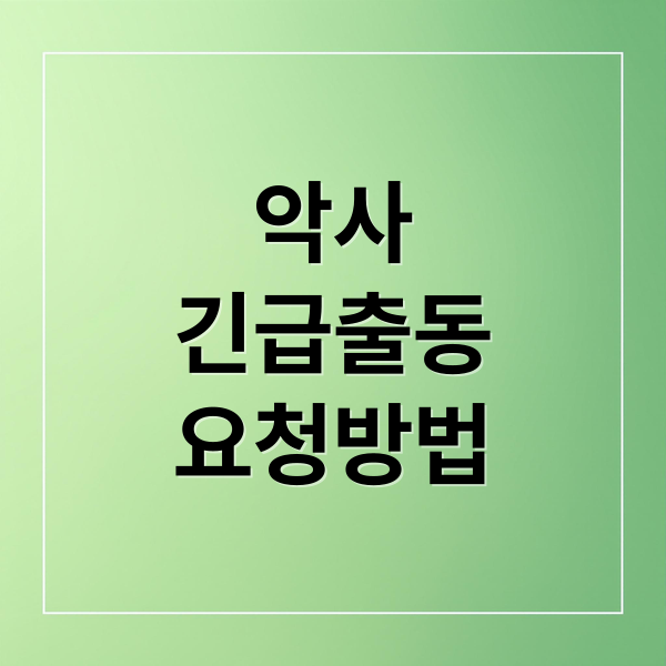 악사
긴급출동
요청방법 (악사 긴급 출동 이용 방법｜전화번호·출동 범위 한눈에)