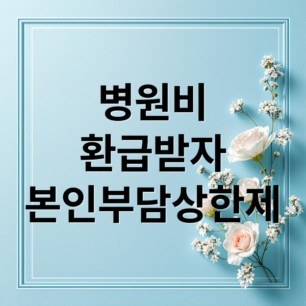 병원비
환급받자
본인부담상한제 (본인부담 상한제 131만원 환급)