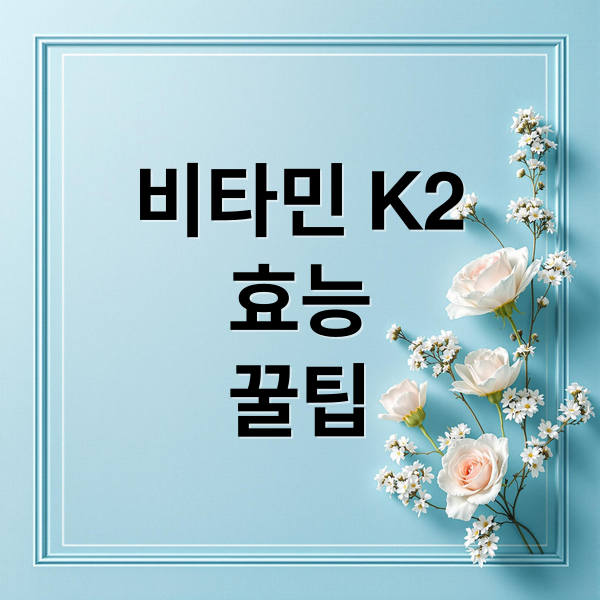 비타민 K2
효능
꿀팁 (비타민 K2 효능)