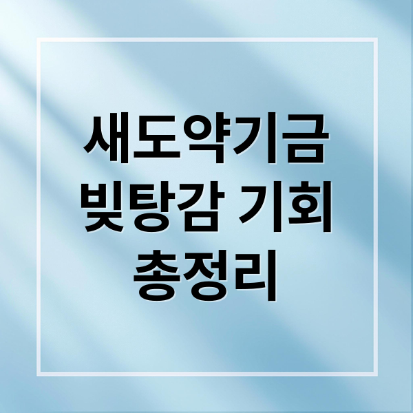 새도약기금
빚탕감 기회
총정리 (새도약기금 신청)