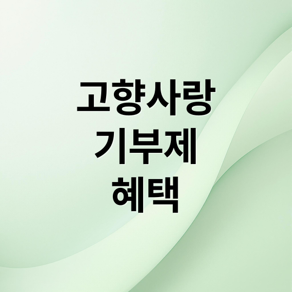 고향사랑
기부제
혜택 (고향사랑기부제 세액공제 방법)