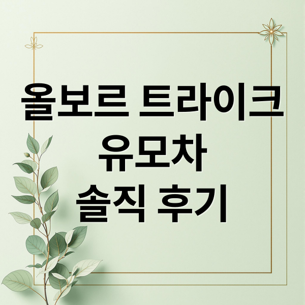 올보르 트라이크
유모차
솔직 후기 (올보르 트라이크 유모차 후기)