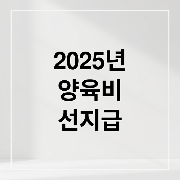 2025년
양육비
선지급 (양육비 선지급)