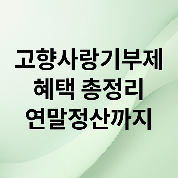 고향사랑기부제
혜택 총정리
연말정산까지 (고향사랑기부제)