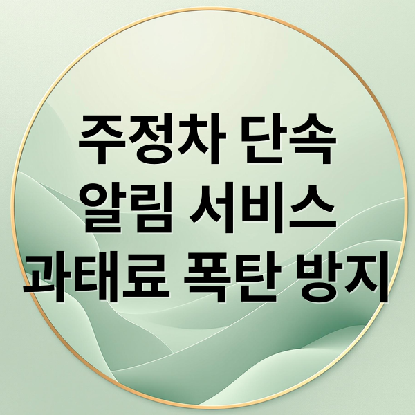 주정차 단속
알림 서비스
과태료 폭탄 방지 (주정차 단속 알림)