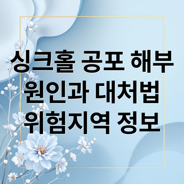 싱크홀 공포 해부
원인과 대처법
위험지역 정보 (싱크홀 위험지역)