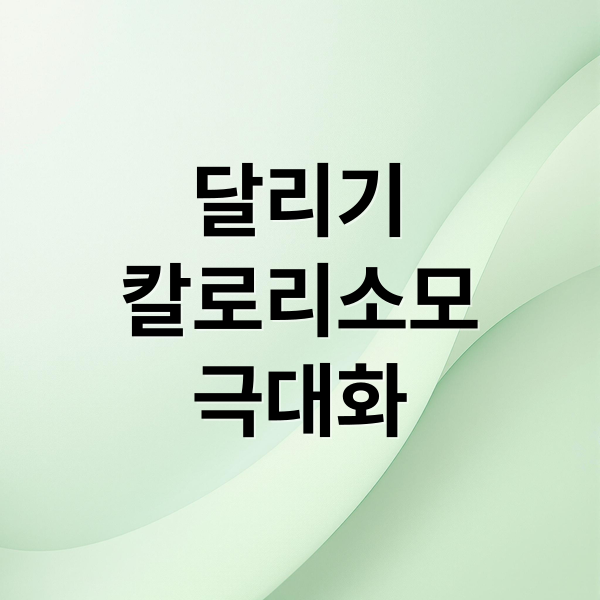 달리기
칼로리소모
극대화 (칼로리 소모 달리기 방법)