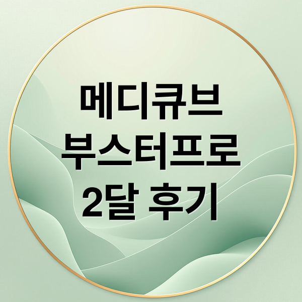 메디큐브
부스터프로
2달 후기 (메디큐브 부스터프로 후기)