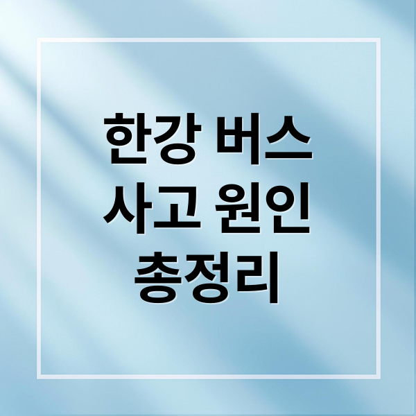 한강 버스
사고 원인
총정리 (한강 버스 사고 80명 승객)