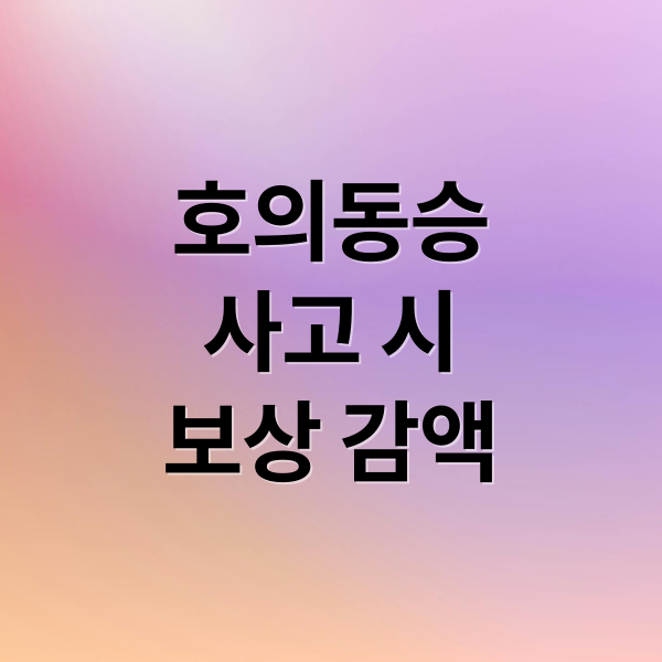 호의동승
사고 시
보상 감액 (호의동승 감액 배상 책임)