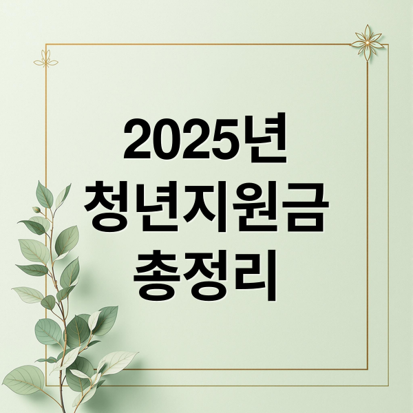 2025년
청년지원금
총정리 (청년지원금)