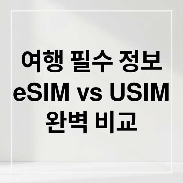 여행 필수 정보
eSIM vs USIM
완벽 비교 (eSIM uSIM)