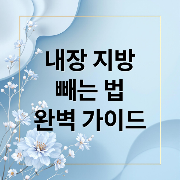 내장 지방
빼는 법
완벽 가이드 (내장 지방 빼는 음식)