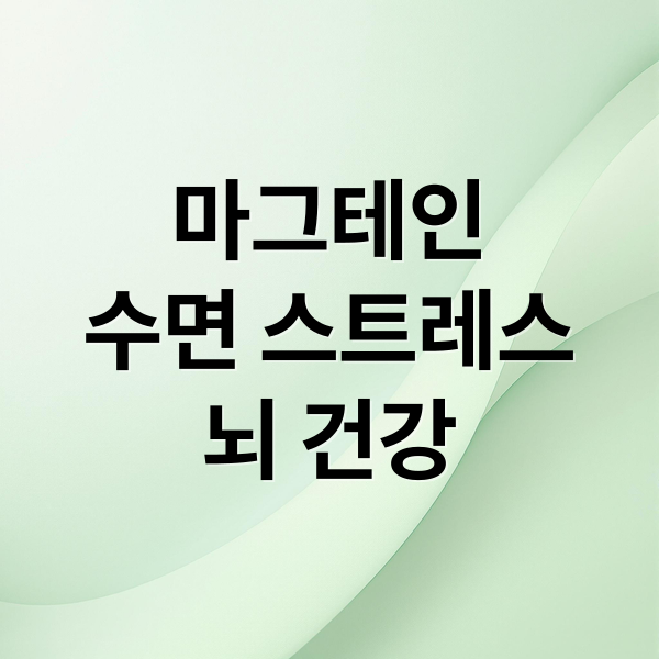 마그테인
수면 스트레스
뇌 건강 (마그테인 가격 효능)
