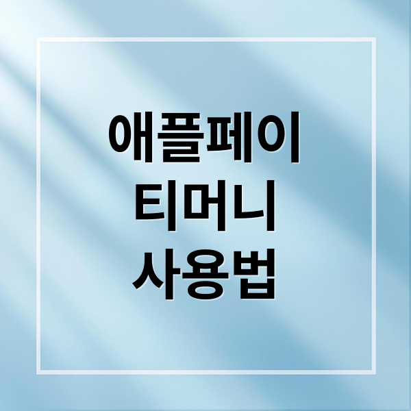 애플페이 티머니 사용법