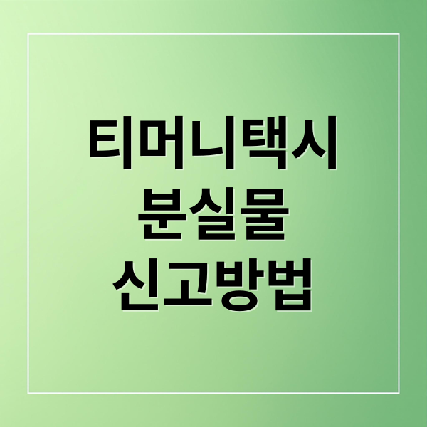 티머니택시
분실물
신고방법 (티머니택시 분실물 찾기)