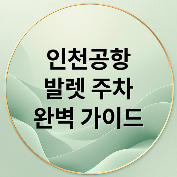 인천공항
발렛 주차
완벽 가이드 (인천공항 발렛 주차 이용 방법)