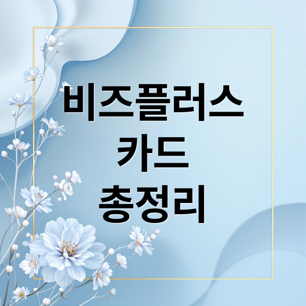 비즈플러스
카드
총정리 (소상공인 비즈플러스 카드 신청)