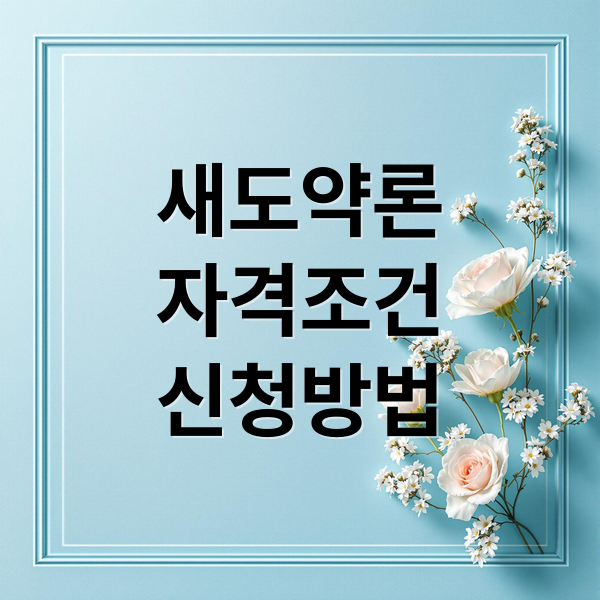 새도약론
자격조건
신청방법 (새도약론 신청방법 조건 금리 대상 새도약기금 새출발기금 차이)