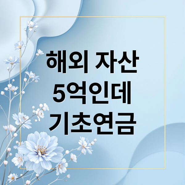 해외 자산
5억인데
기초연금 (해외자산 5억 기초연금 수급 복지허점)