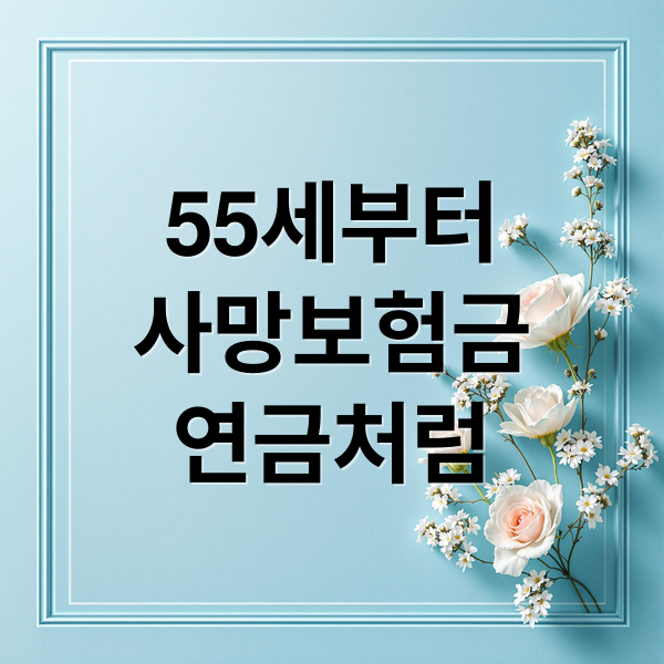 55세부터
사망보험금
연금처럼 (사망보험금 유동화)