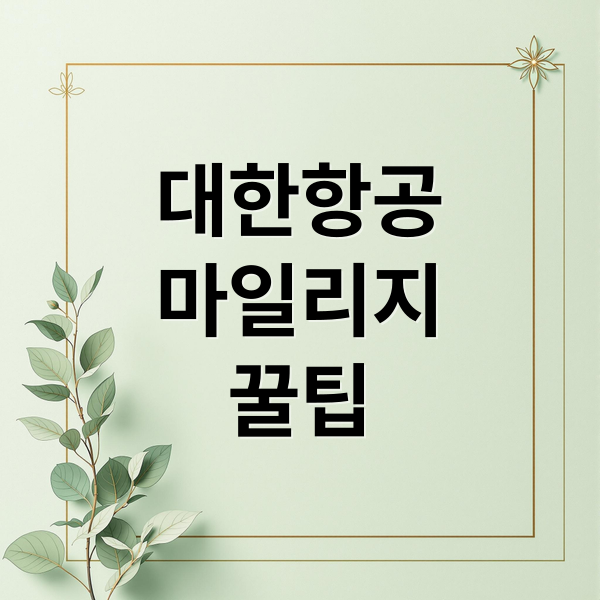 대한항공
마일리지
꿀팁 (대한항공 마일리지)