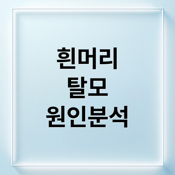 흰머리
탈모
원인분석 (흰머리 탈모 관리법)