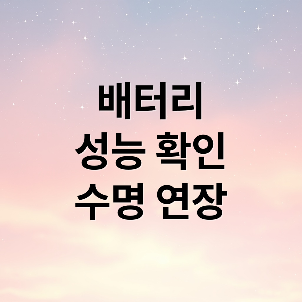 배터리
성능 확인
수명 연장 (배터리 성능 확인 방법)