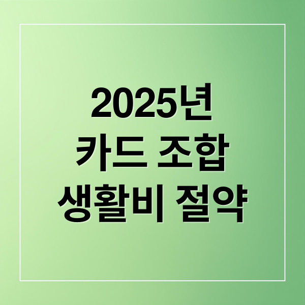 2025년
카드 조합
생활비 절약 (2025년 생활비 절약 카드 조합)