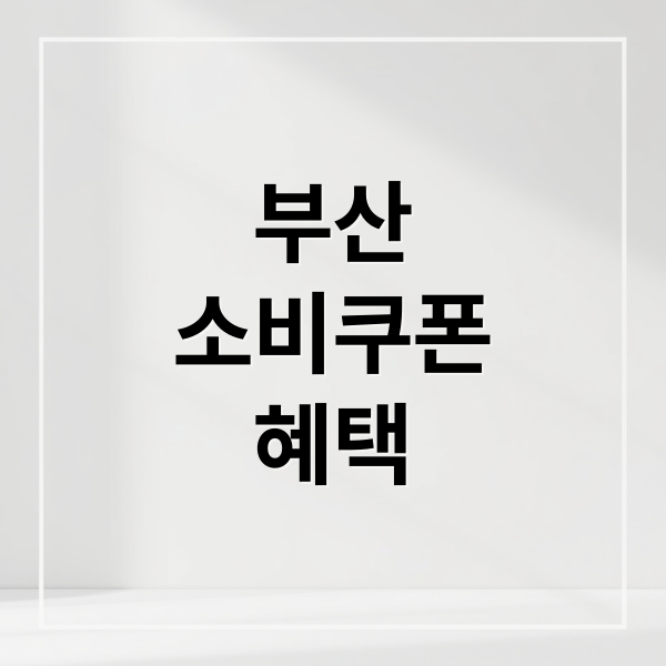 부산
소비쿠폰
혜택 (민생회복 소비쿠폰 신청방법: 부산)