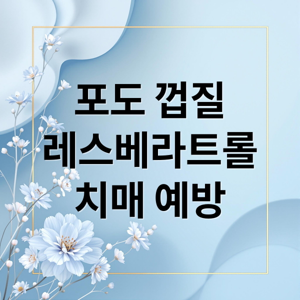 포도 껍질 레스베라트롤: 치매 예방과 뇌 건강의 비밀 2 포도 껍질
레스베라트롤
치매 예방 (포도 레스베라트롤 치매 효능)