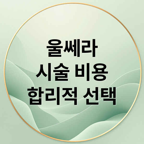 울쎄라
시술 비용
합리적 선택 (울쎄라 시술 비용 정보)