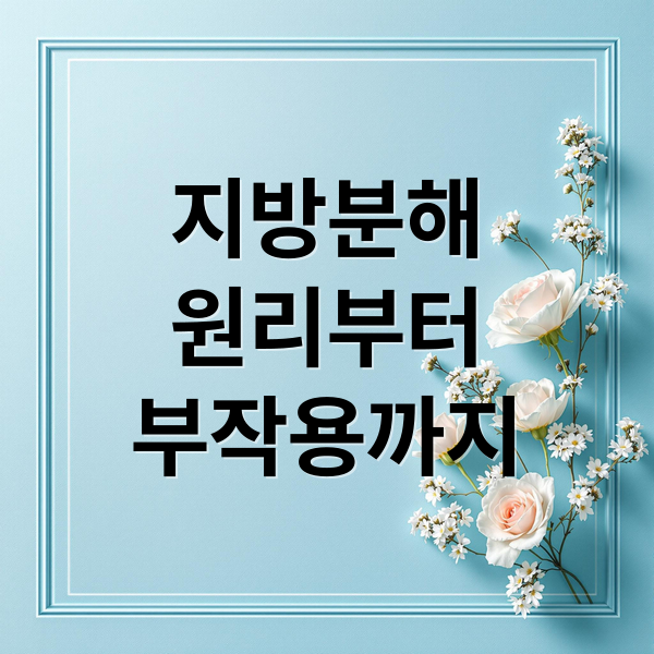 지방분해
원리부터
부작용까지 (지방분해 주사)