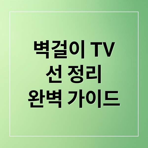 벽걸이 TV
선 정리
완벽 가이드 (벽걸이티비 선 정리)