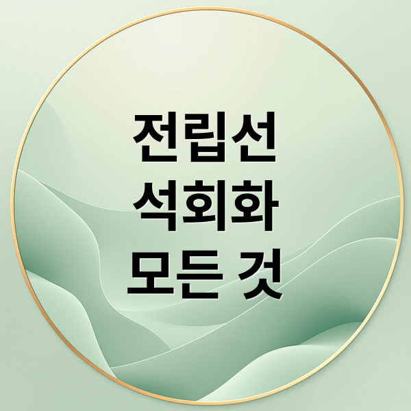 전립선
석회화
모든 것 (전립선 석회화 치료법)